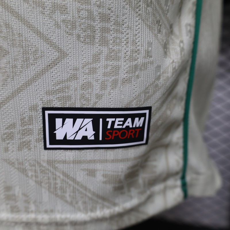 Player Version  26/27 Mali Home Jersey